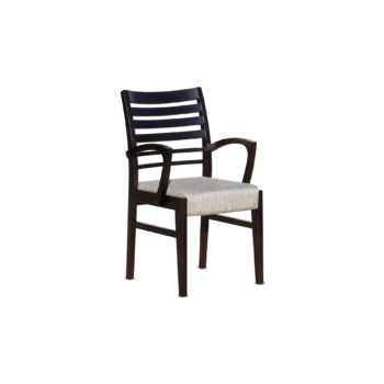Stolica sa rukonaslonom R 50 D-R